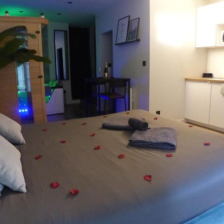 Appartement Balneotherapie Et Sauna Hyper Centre น็องต์ ภายนอก รูปภาพ