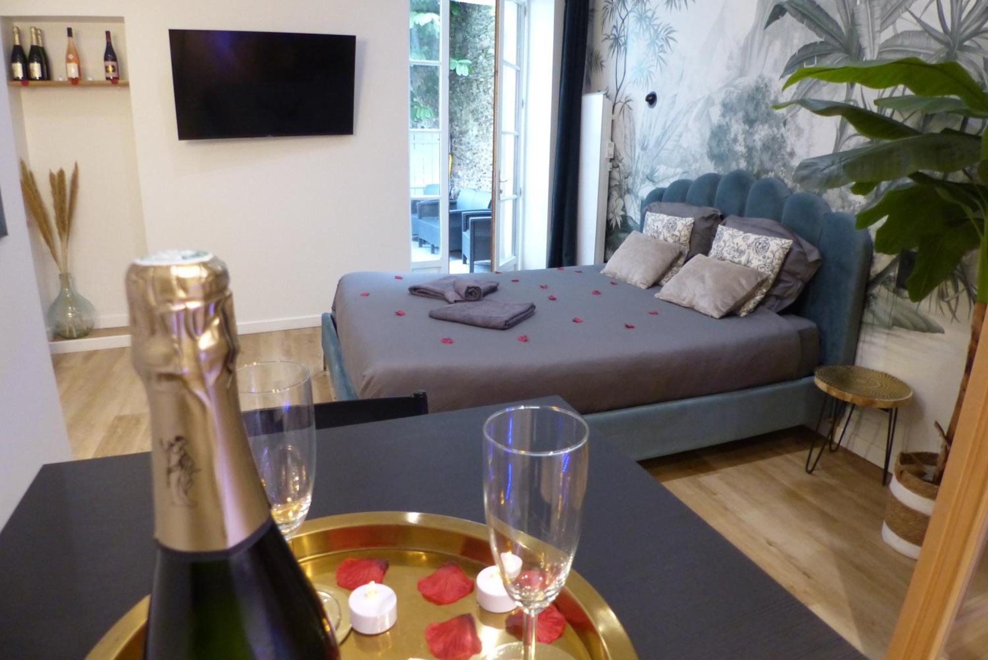 Appartement Balneotherapie Et Sauna Hyper Centre น็องต์ ภายนอก รูปภาพ